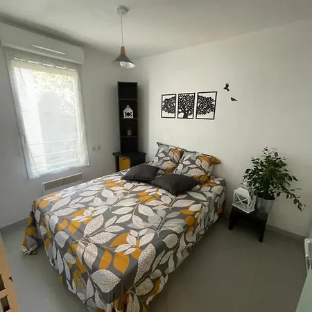 Cosy Arena